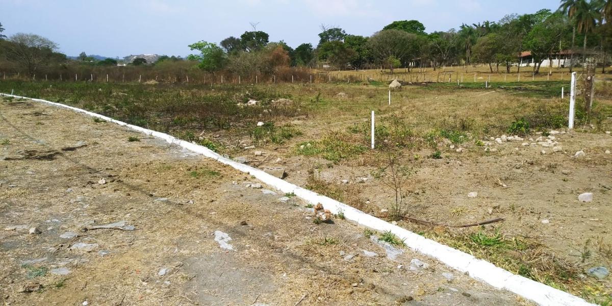 Lote, São José, 0 Quarto, 4 Vagas