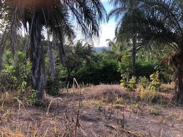 Lote, Condomínio Solar das Palmeiras, 0 Quarto, 0 Vaga