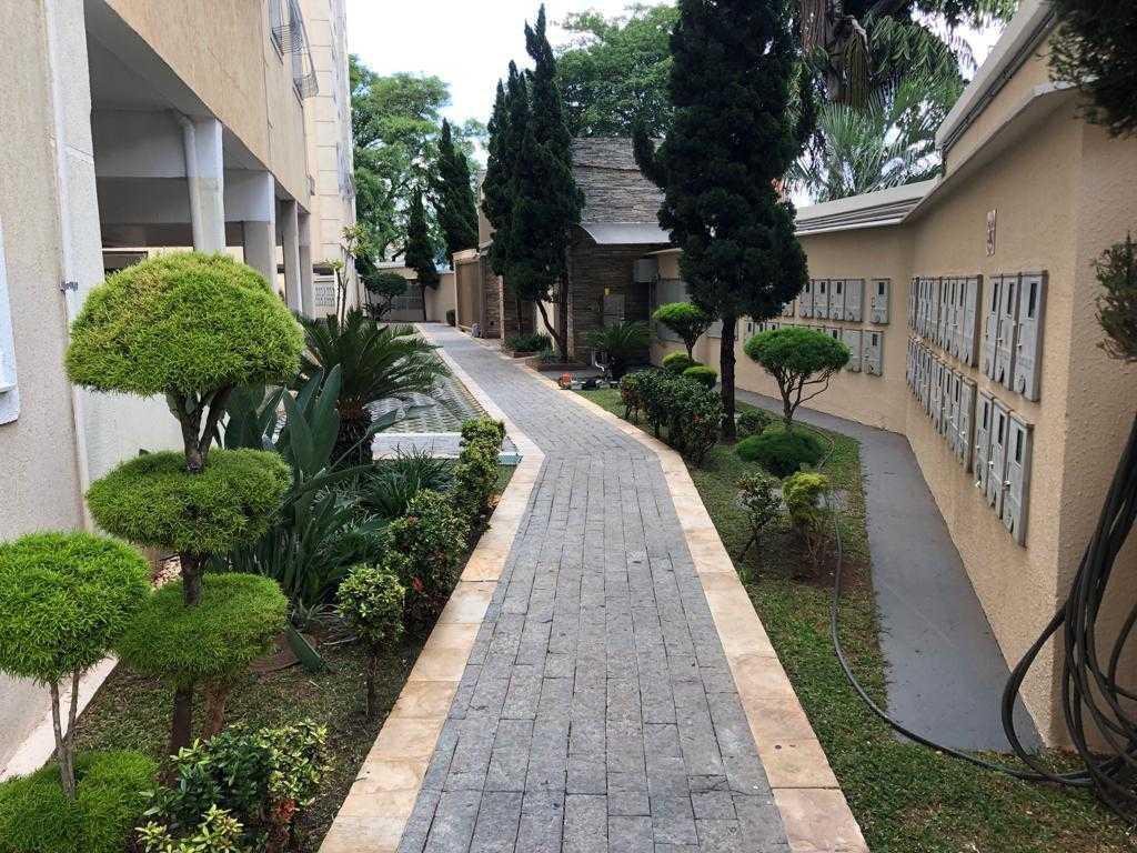 Apartamento, Santa Efigênia, 3 Quartos, 2 Vagas, 1 Suíte