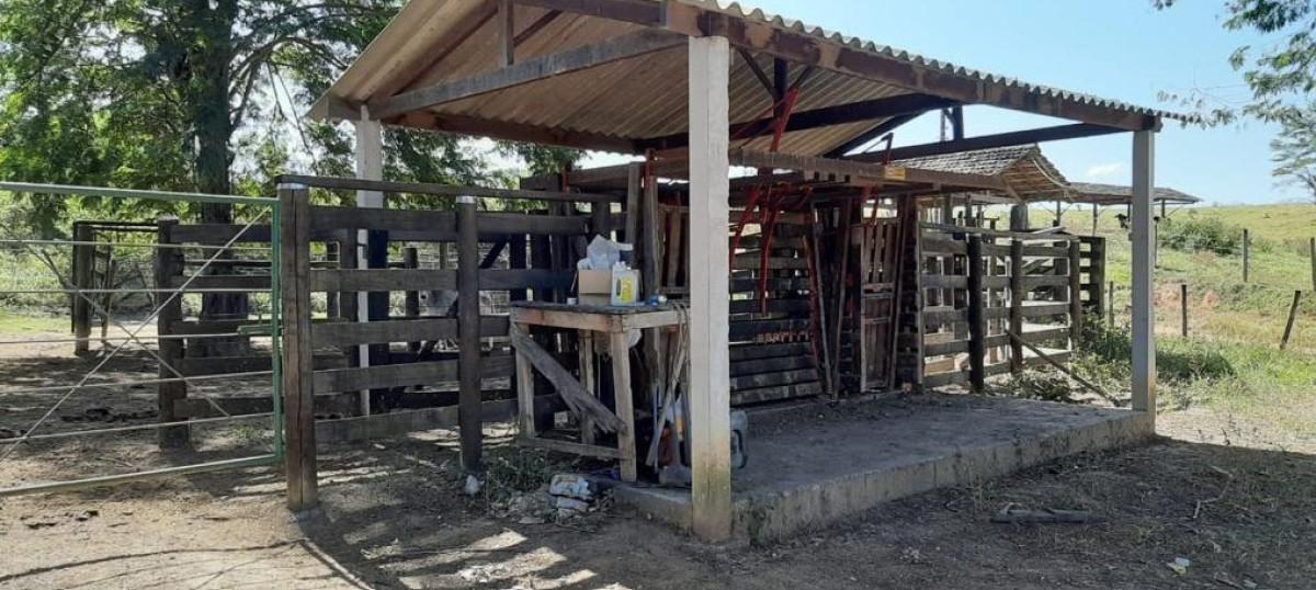 Fazenda, Área Rural de Pará de Minas, 0 Quarto, 0 Vaga