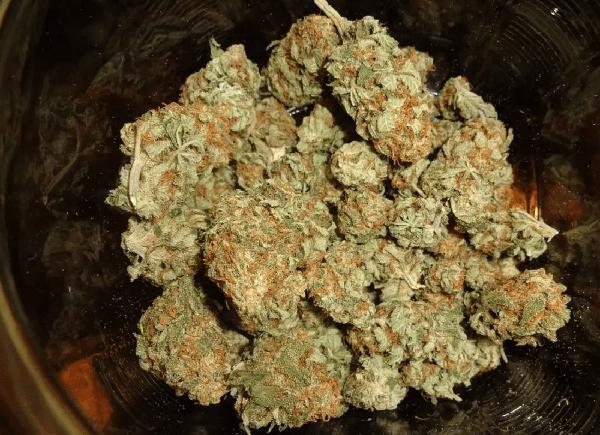 Compra e Venda de Skunk - Envio Pra Todas As Regiões do Brasil - E-mail: Skunklong@hotmail.com