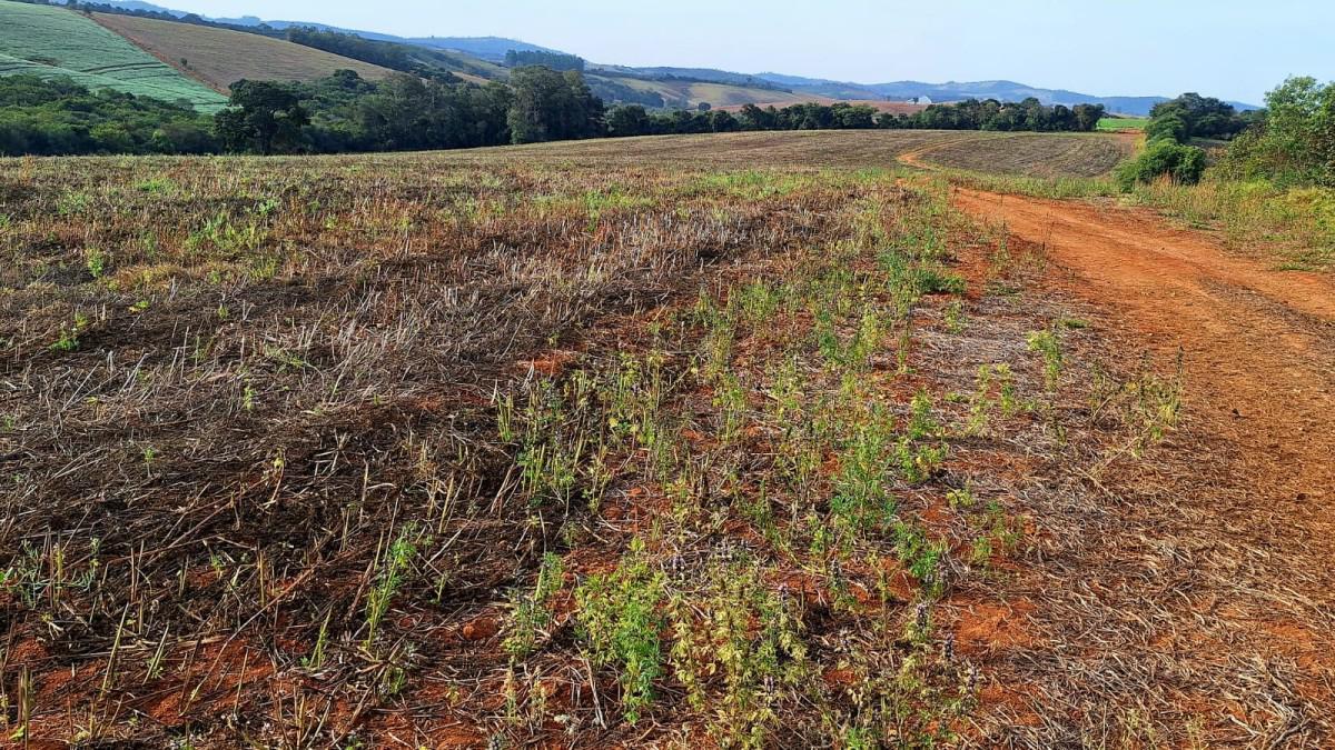 Fazenda, Zona Rural, 0 Quarto, 0 Vaga