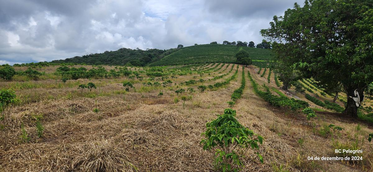 Fazenda, Centro, 2 Quartos, 1 Vaga, 1 Suíte