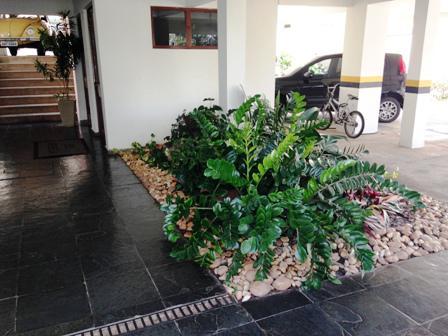 Apartamento, Nova Floresta, 3 Quartos, 1 Vaga