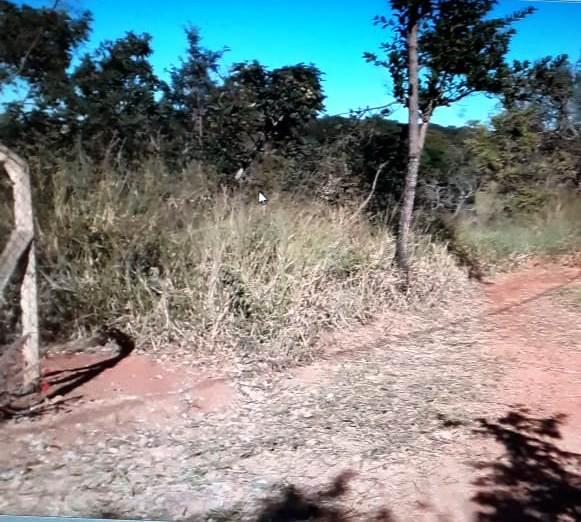 Lote em Condomínio, Centro