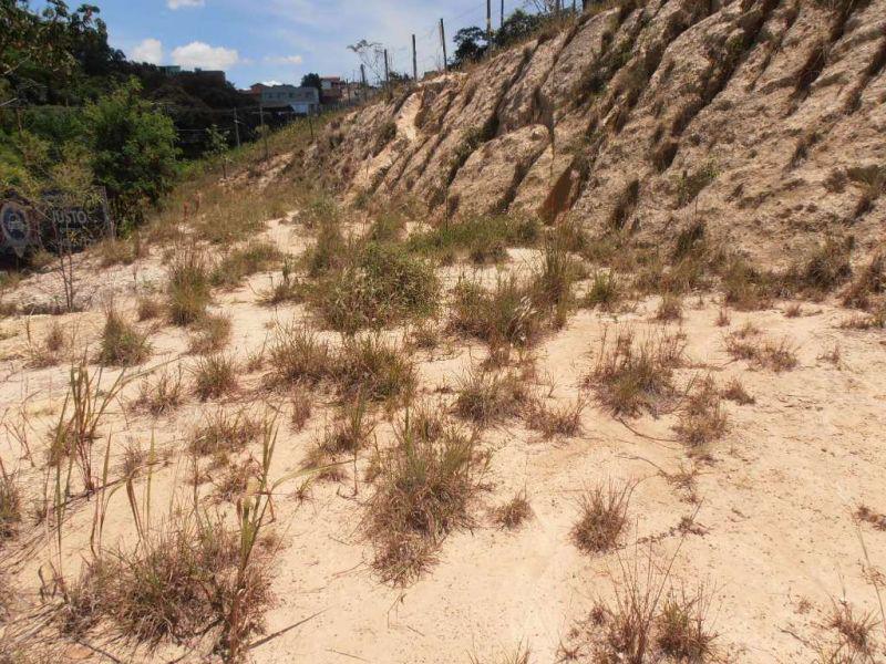 Lote, Jardim Casa Branca, 0 Quarto, 0 Vaga