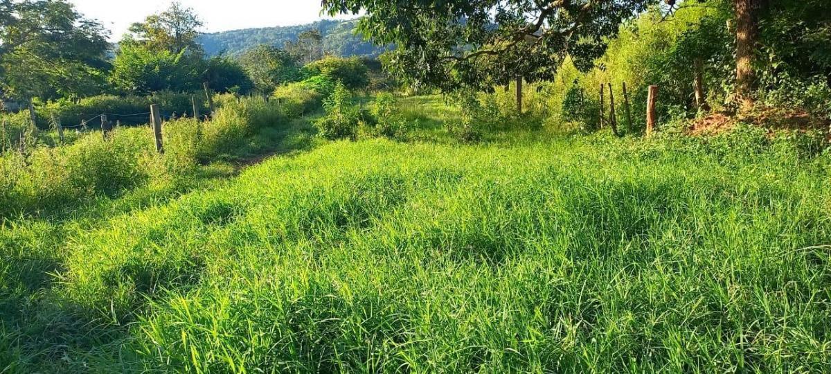 Fazenda, Zona Rural, 4 Quartos, 2 Vagas