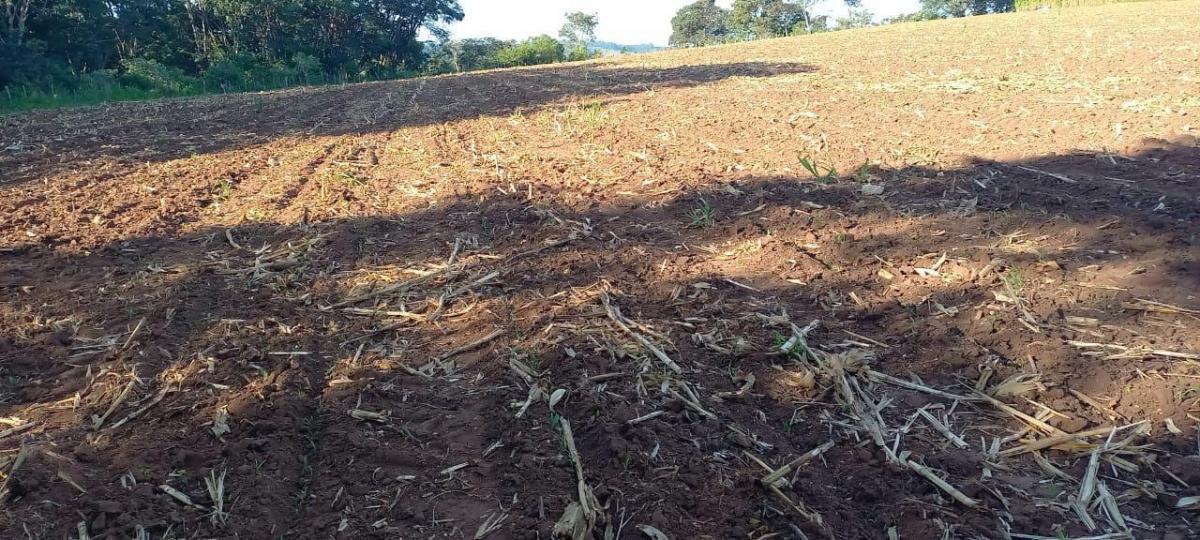 Fazenda, Zona Rural, 4 Quartos, 2 Vagas
