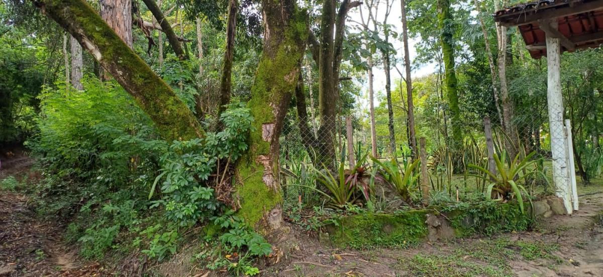 Fazenda, Bambus, 3 Quartos, 10 Vagas