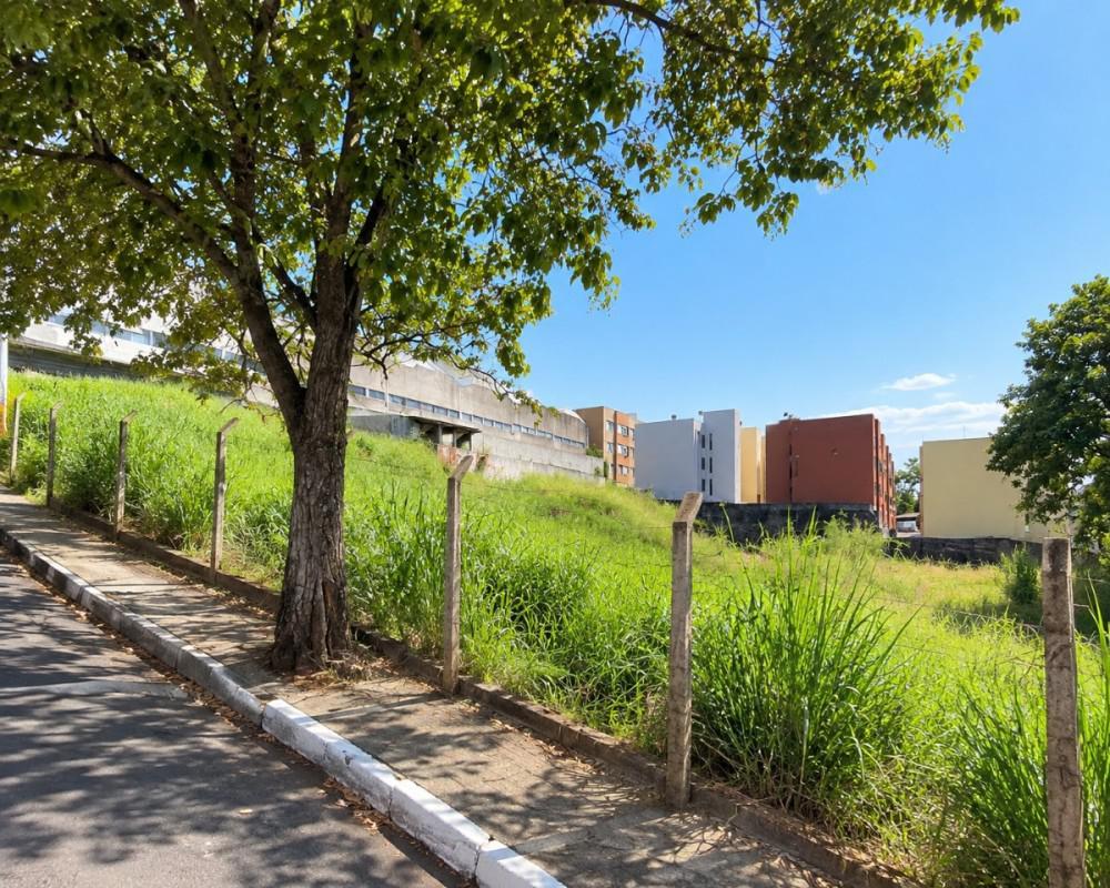 Lote, São Francisco, 0 Quarto, 0 Vaga