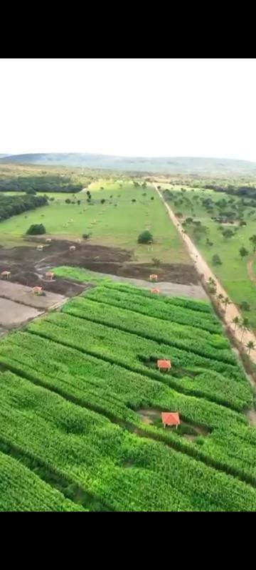 Fazenda, Zona Rural, 0 Quarto, 0 Vaga