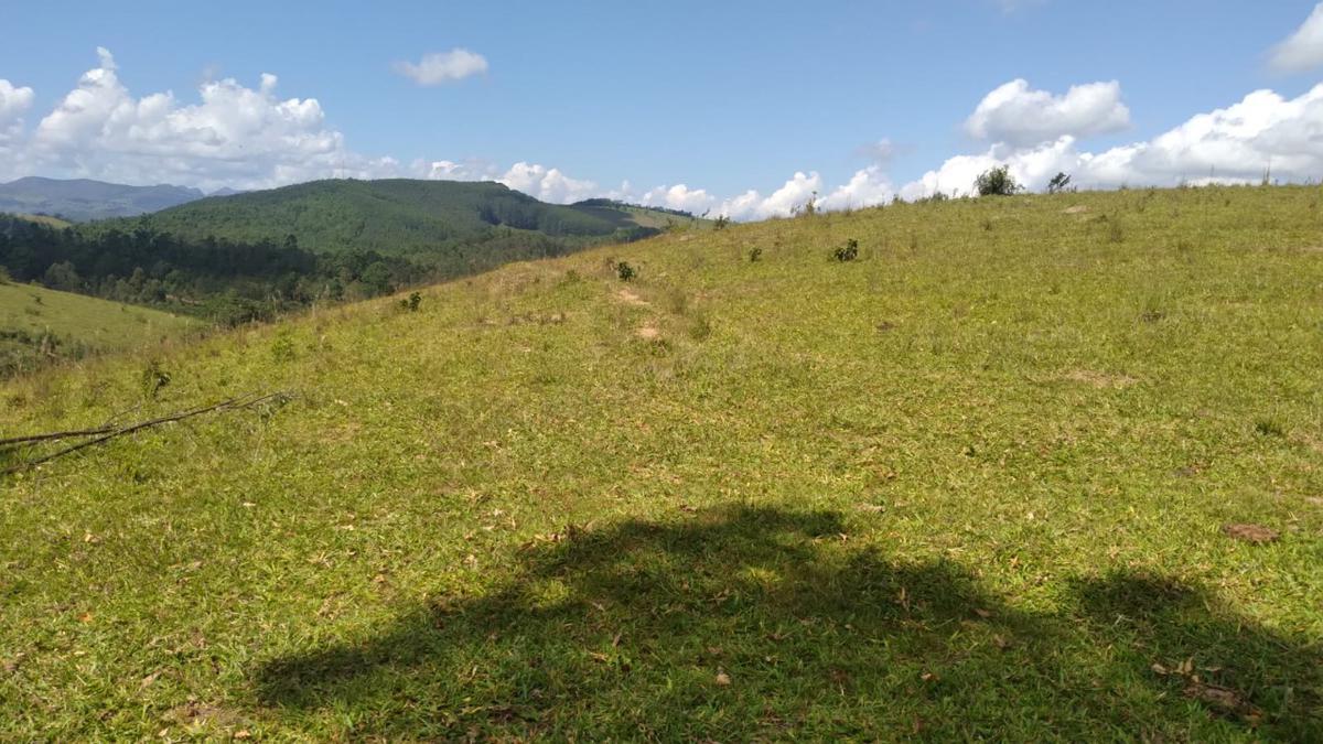 Fazenda, Centro, 0 Quarto, 0 Vaga
