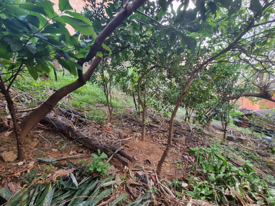 Lote, Jardim Riacho das Pedras, 0 Quarto, 12 Vagas