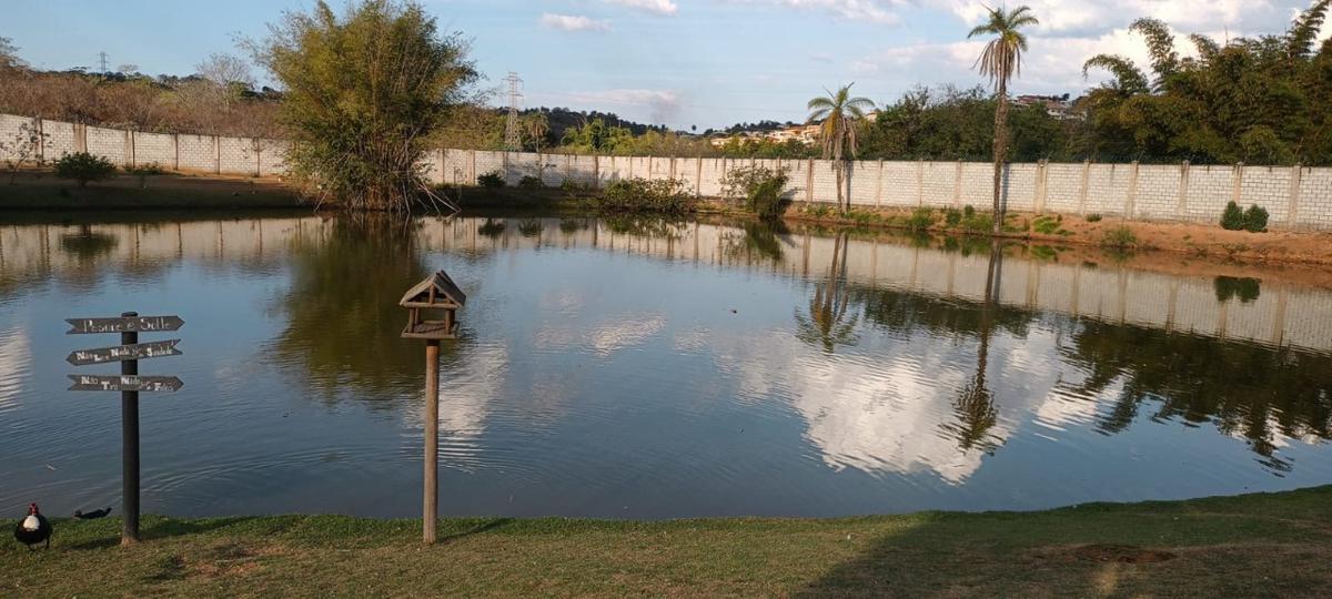 Lote, Frimisa, 0 Quarto, 0 Vaga