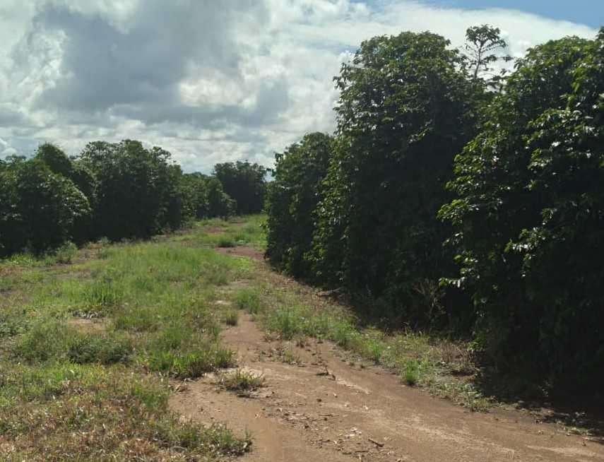 Fazenda, Zona Rural, 1 Quarto, 0 Vaga