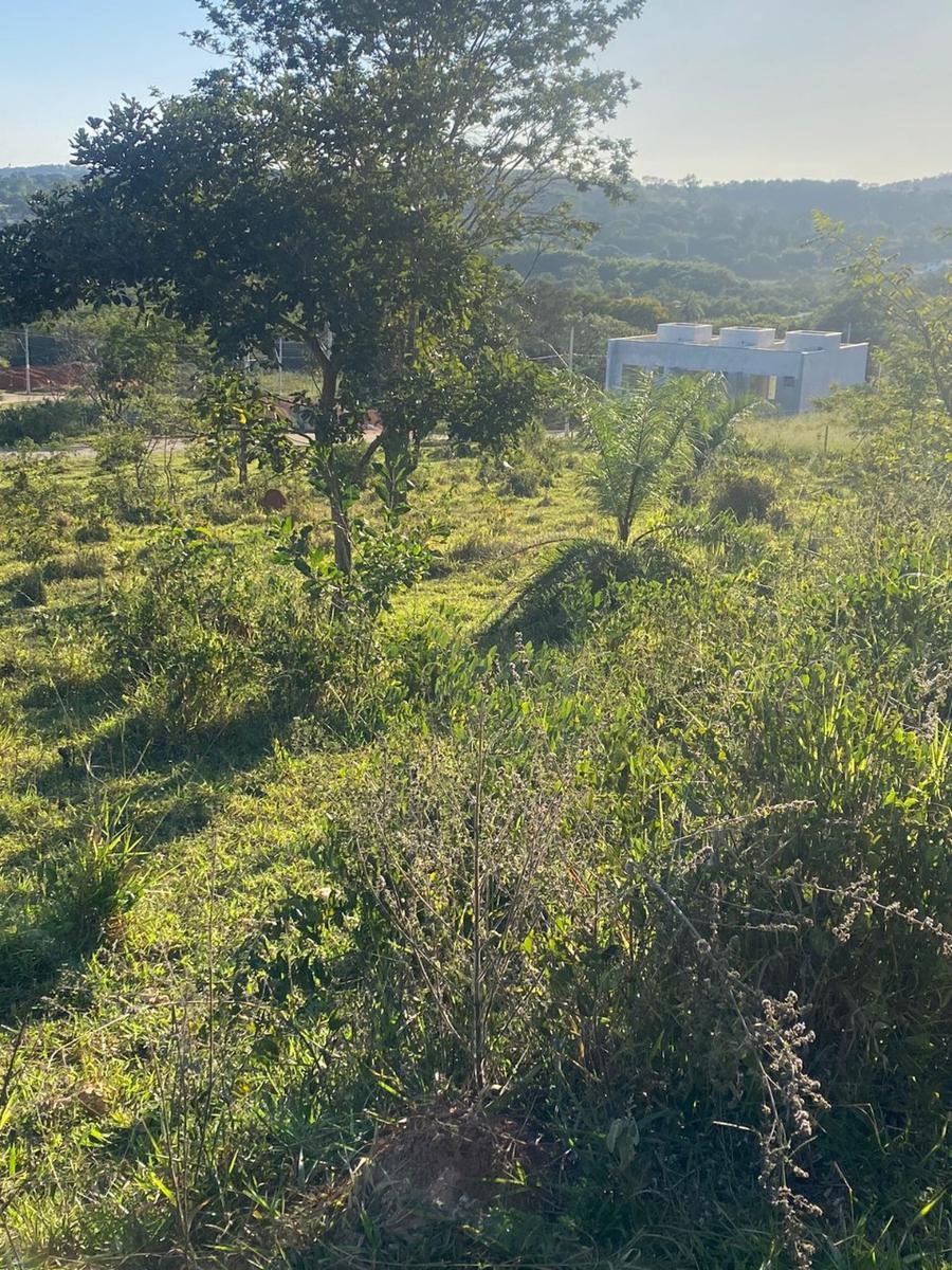 Lote, Petrovale, 0 Quarto, 0 Vaga