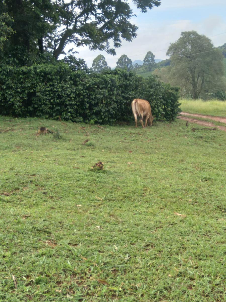 Fazenda, Zona Rural, 1 Quarto, 0 Vaga