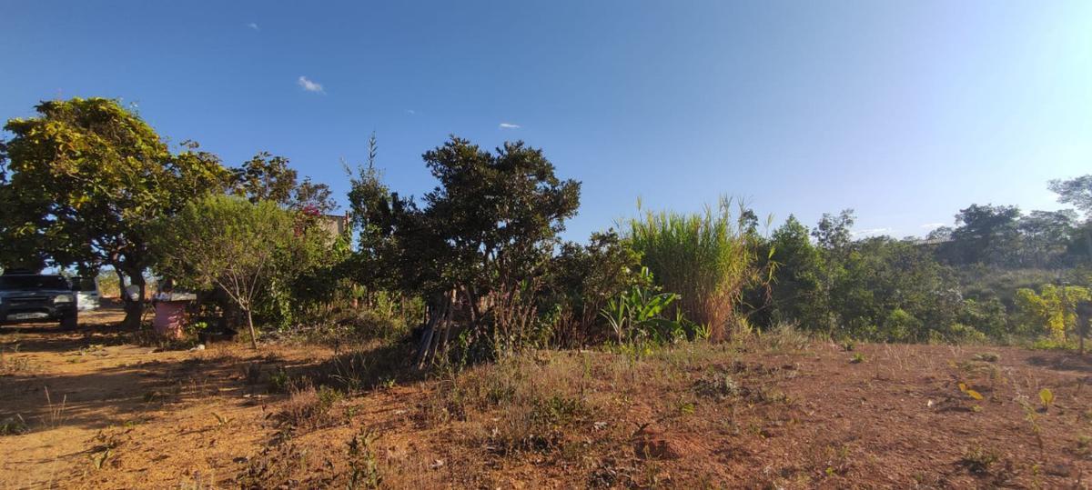 Fazenda, Centro, 1 Quarto, 0 Vaga
