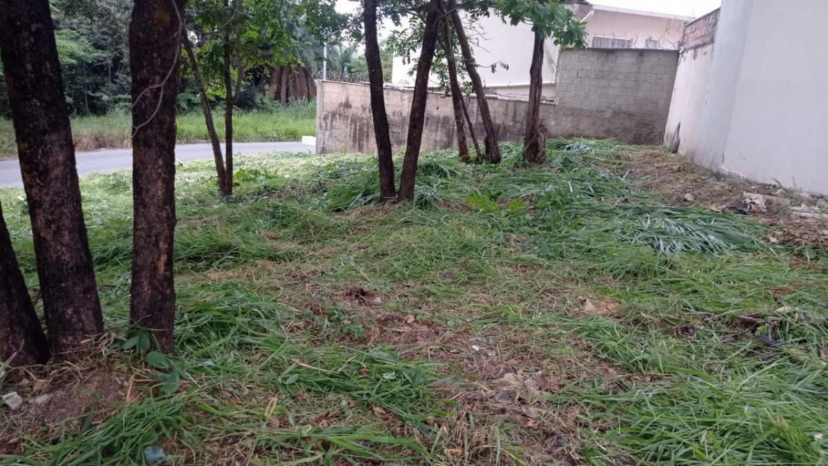 Lote, Liberdade, 0 Quarto, 0 Vaga