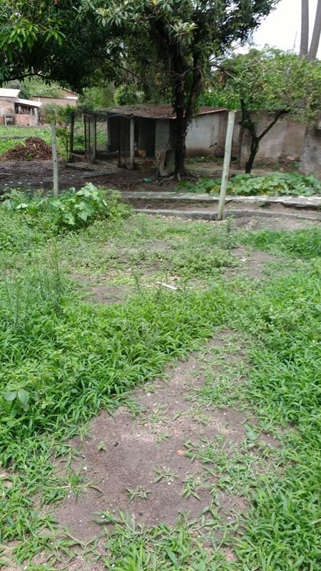 Fazenda, Melo Viana, 6 Quartos, 10 Vagas, 1 Suíte