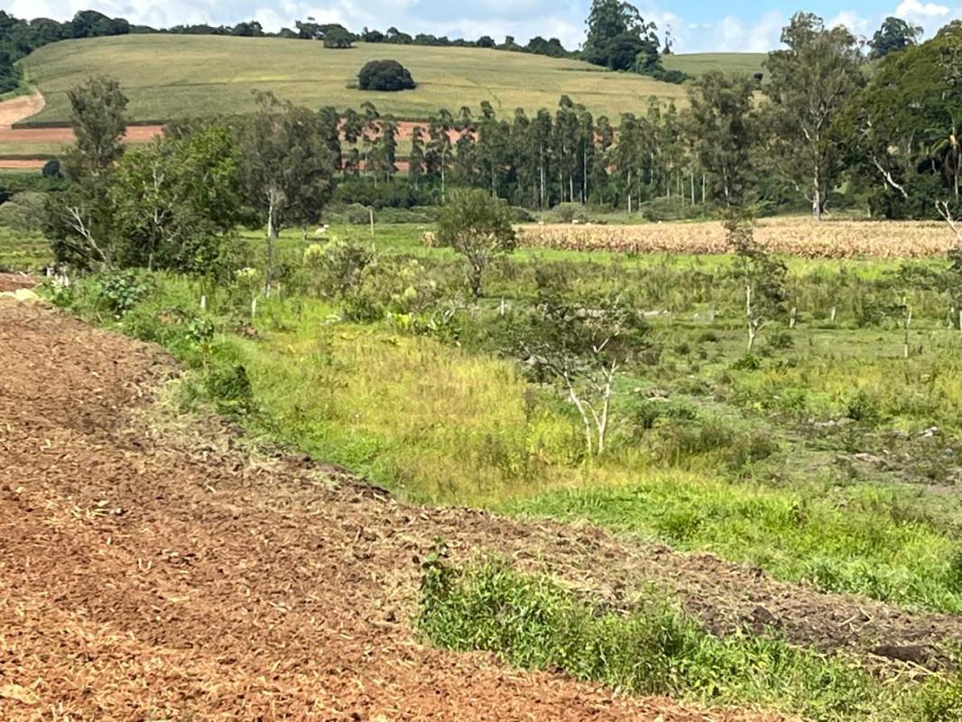 Fazenda, Zona Rural, 0 Quarto, 0 Vaga