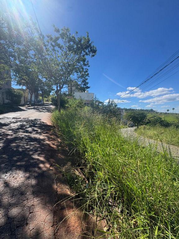 Lote, Novo Horizonte, 0 Quarto, 0 Vaga