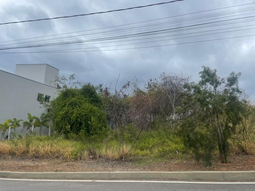 Lote, Mirante da Mata, 0 Quarto, 0 Vaga