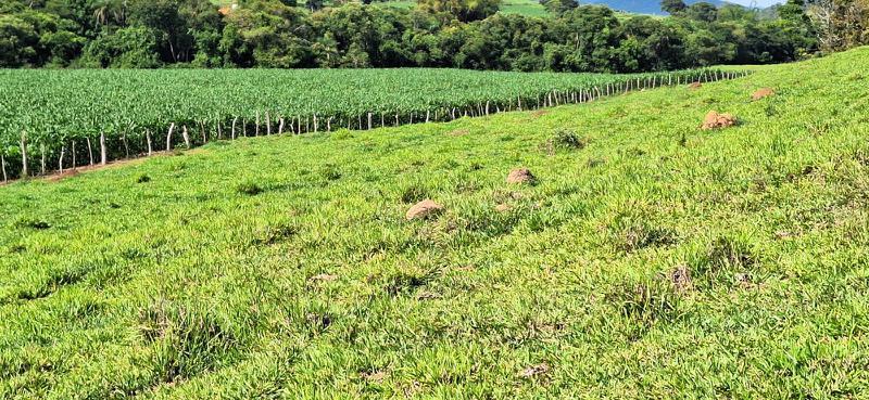 Lote, Zona Rural, 2 Quartos