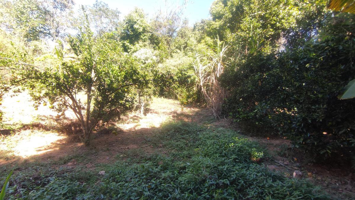 Lote, Centro, 0 Quarto, 0 Vaga