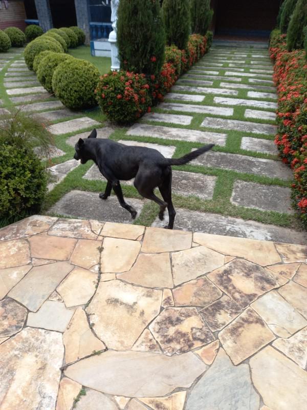 Fazenda, Centro, 5 Quartos, 0 Vaga, 1 Suíte