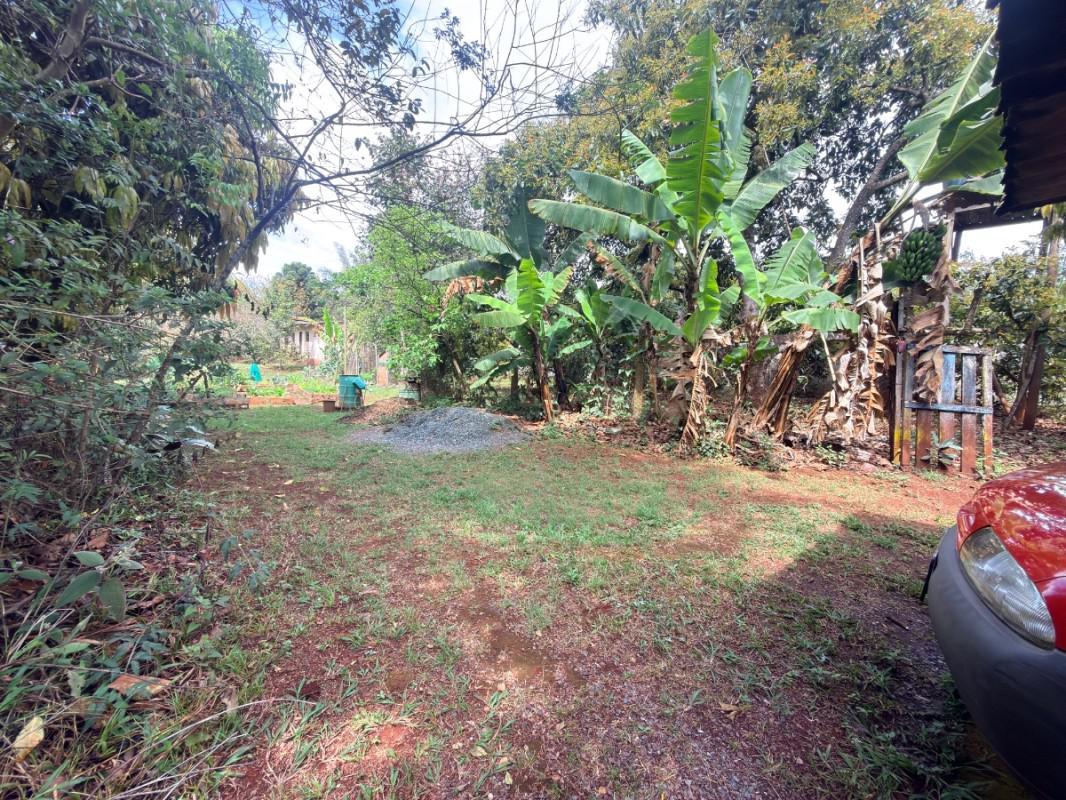 Lote, Lagoa do Miguelão, 0 Quarto, 0 Vaga