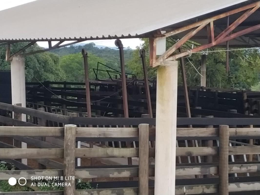 Fazenda, Centro, 0 Quarto, 0 Vaga