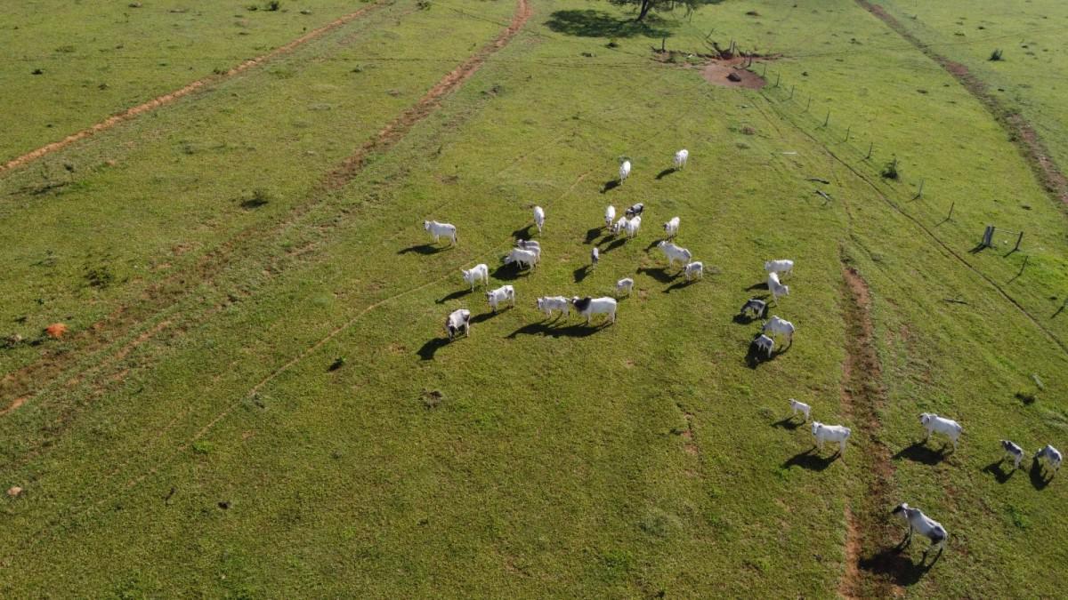 Lote, Centro, 3 Quartos, 0 Vaga