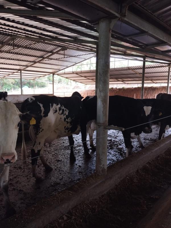 Fazenda, Área Rural de Pará de Minas, 0 Quarto, 0 Vaga