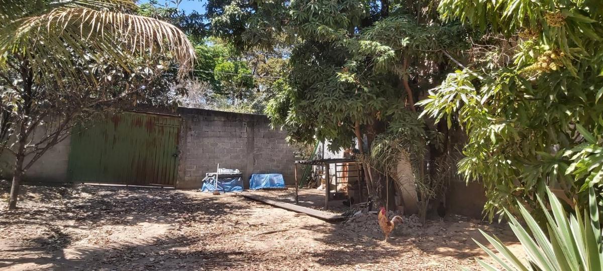 Lote, Trevo, 0 Quarto, 0 Vaga