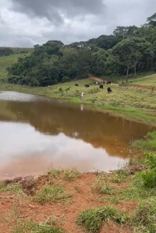 Fazenda, Zona Rural, 3 Quartos, 0 Vaga