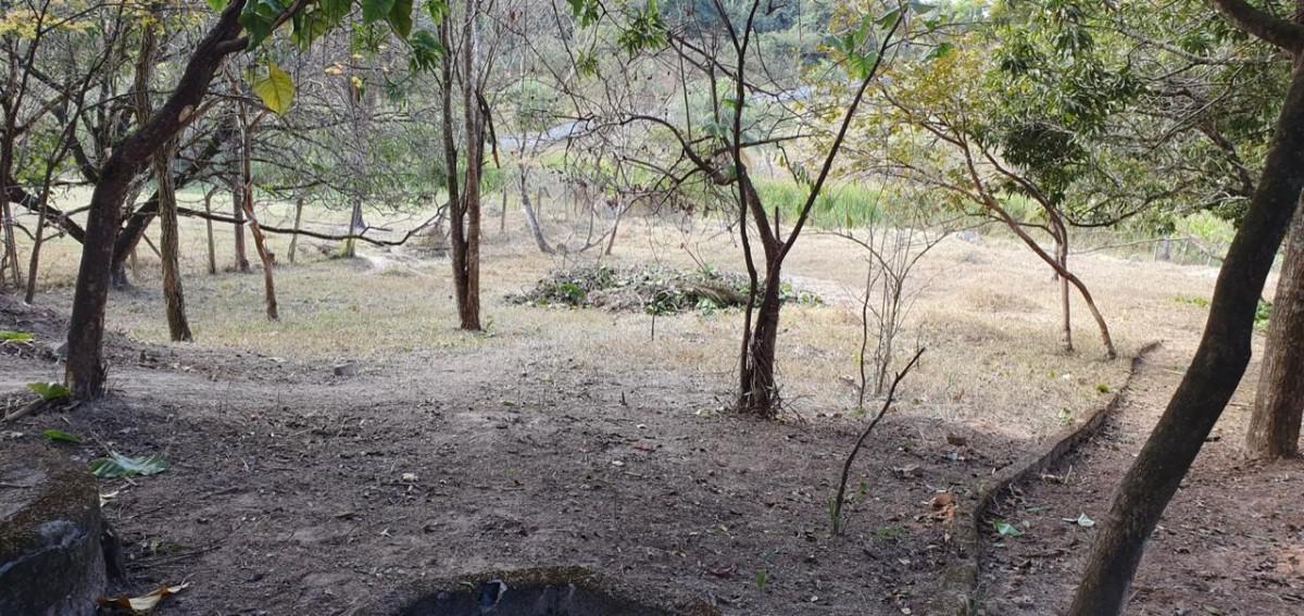 Fazenda, Parque Ipiranga, 2 Quartos, 10 Vagas