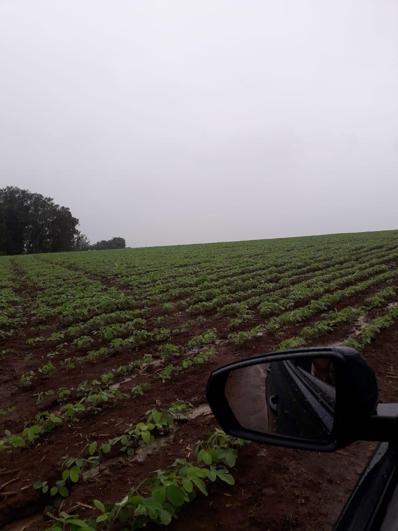 Fazenda, Centro, 1 Quarto, 1 Vaga, 1 Suíte