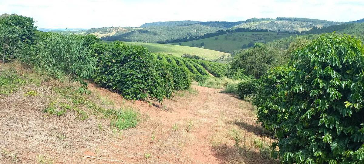 Fazenda, Zona Rural, 4 Quartos, 0 Vaga