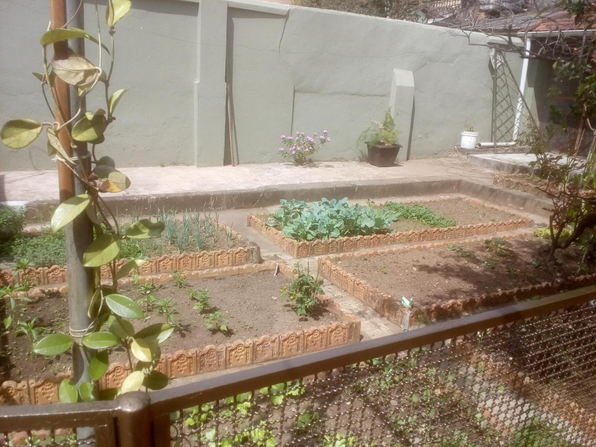 Casa, Floresta, 4 Quartos, 5 Vagas