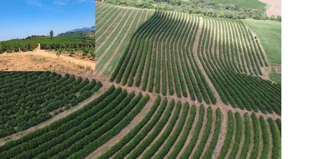 Fazenda, Zona Rural, 1 Quarto, 0 Vaga