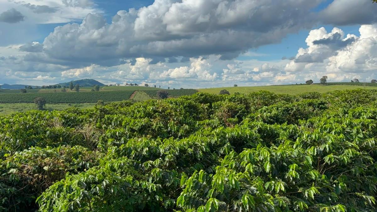 Fazenda, Zona Rural, 0 Quarto, 0 Vaga