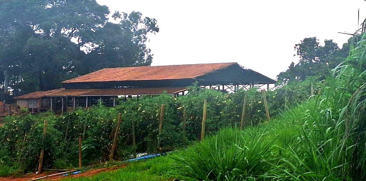 Fazenda, Zona Rural, 3 Quartos, 0 Vaga