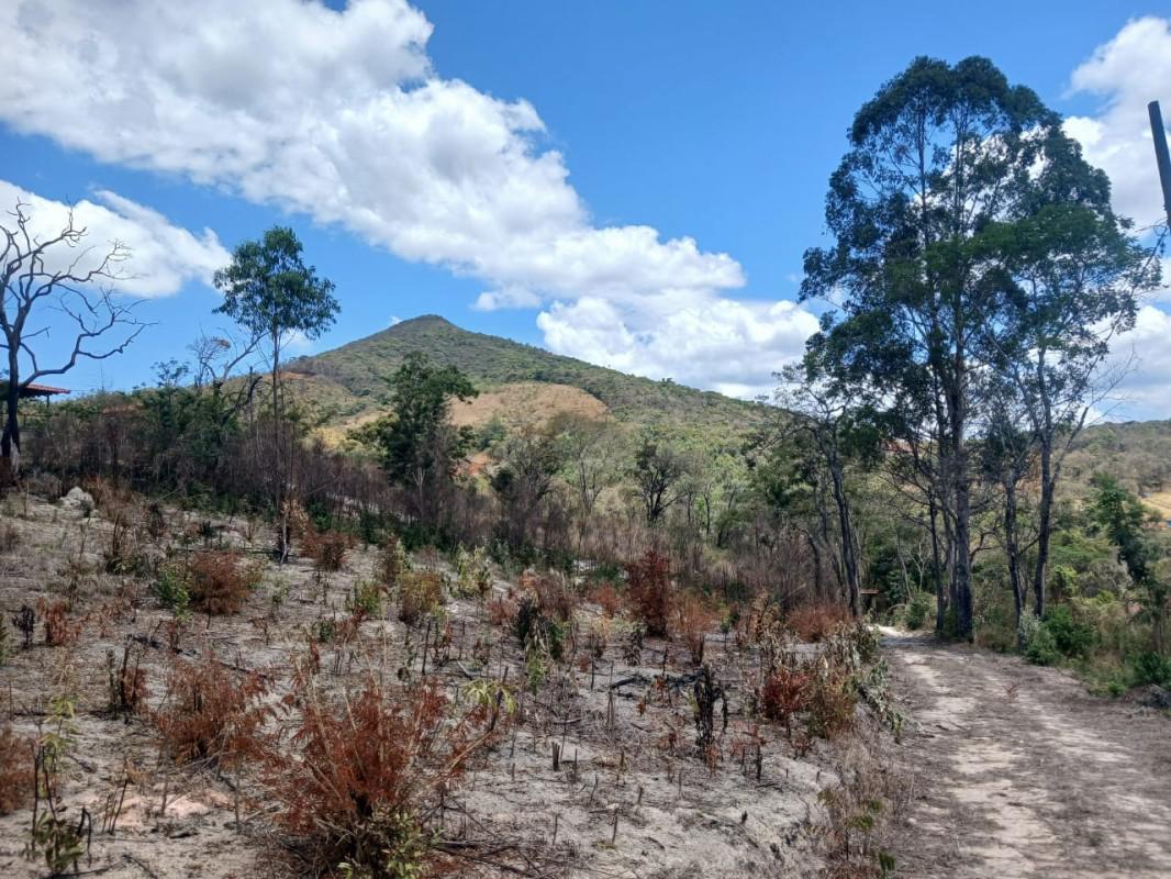 Lote, Roças Novas, 0 Quarto, 0 Vaga