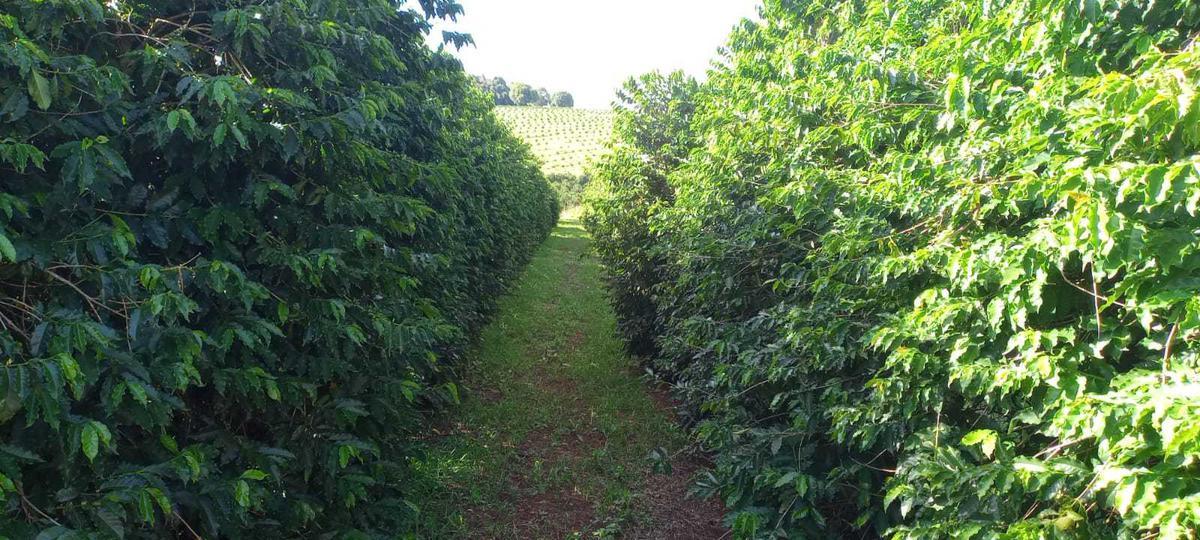 Fazenda, Zona Rural, 3 Quartos, 0 Vaga