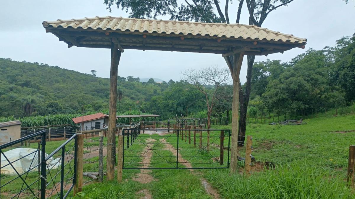 Fazenda, Centro, 3 Quartos, 100 Vagas