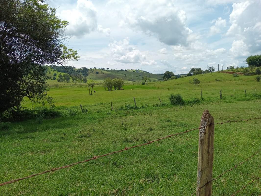 Fazenda, Area Rural de Itajuba, 0 Quarto, 0 Vaga