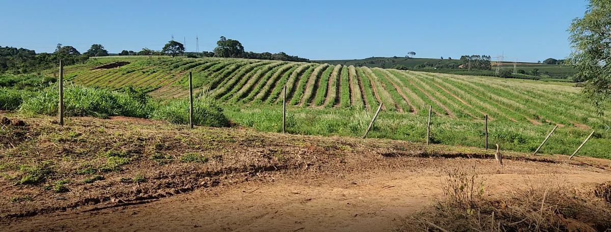 Fazenda, Zona Rural, 0 Quarto, 0 Vaga