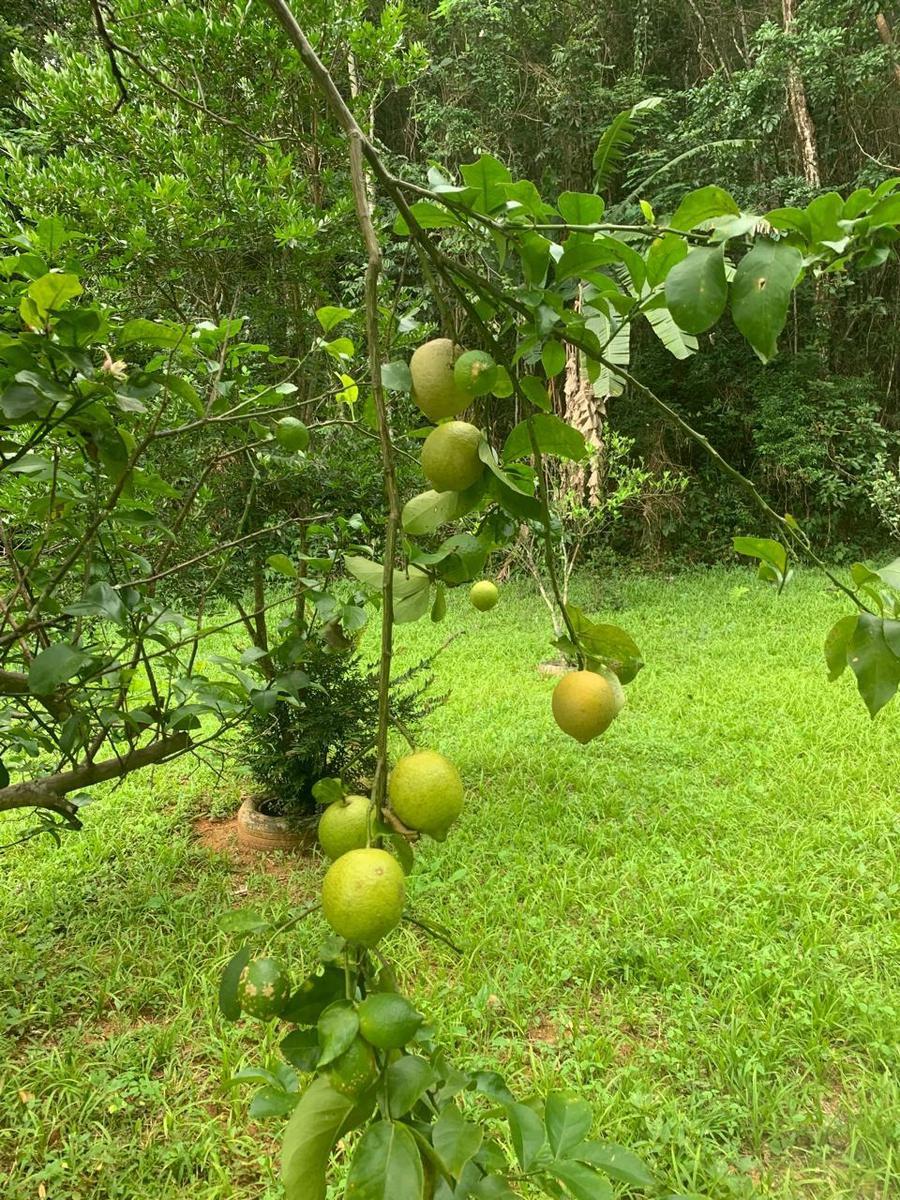 Fazenda, Ravena, 4 Quartos, 10 Vagas, 1 Suíte