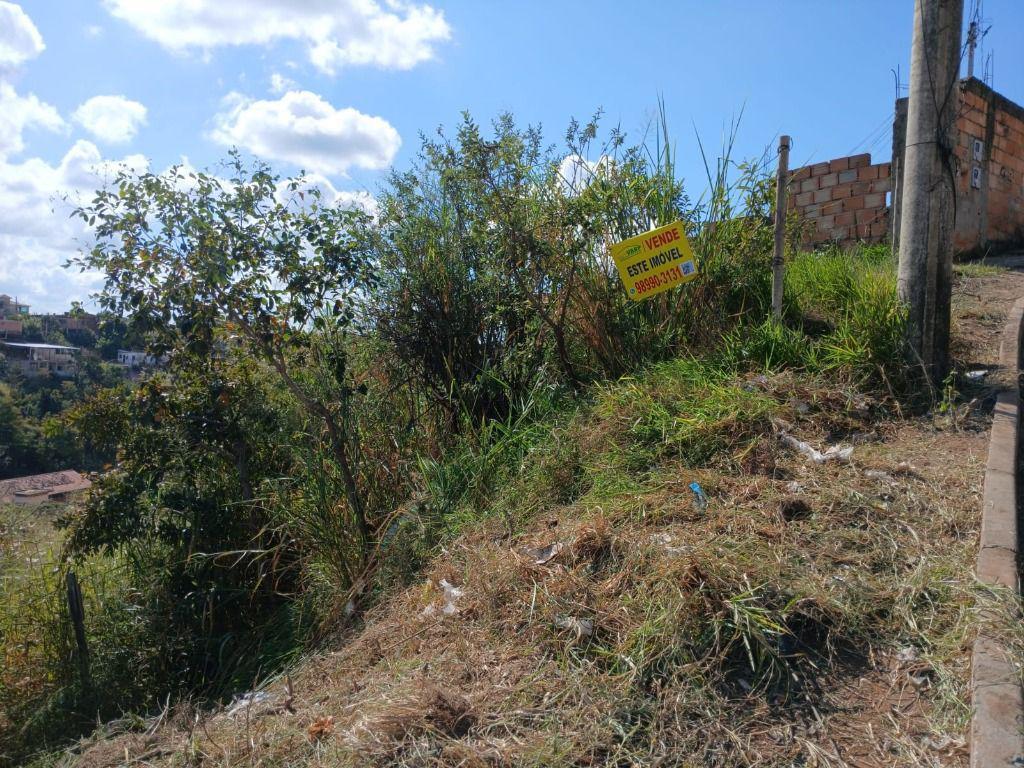 Lote, Vila Rica, 0 Quarto, 0 Vaga